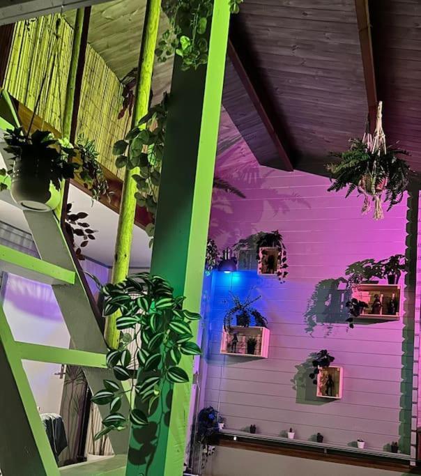 Jungle Style Lodge With Jacuzzi ,Sauna And Garden Near Amsterdam Vijfhuizen المظهر الخارجي الصورة